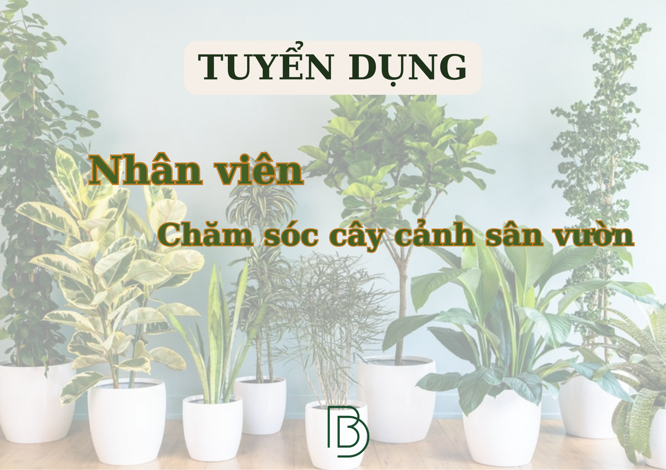 Tuyển dụng Nhân viên Chăm sóc cây cảnh sân vườn