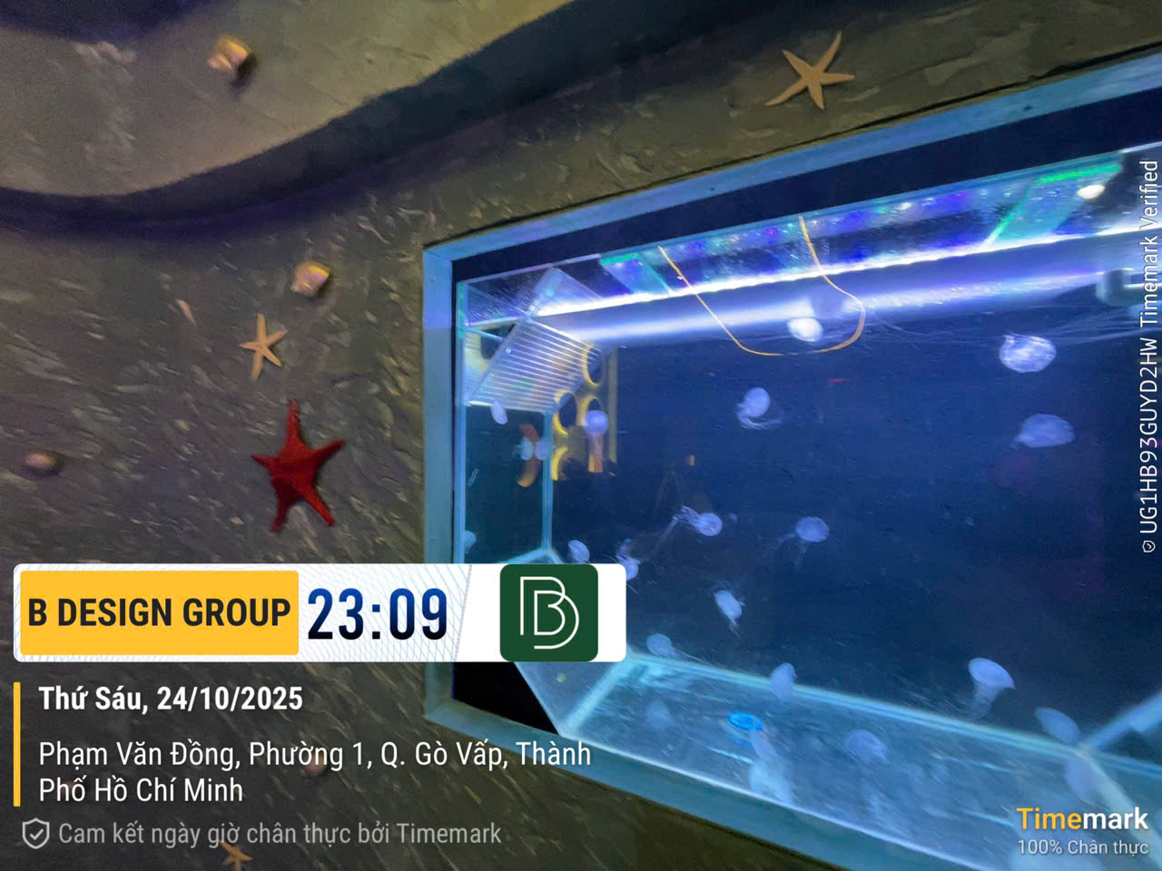 Alien Coffee: Cafe thủy cung sứa đầu tiên tại Sài Gòn