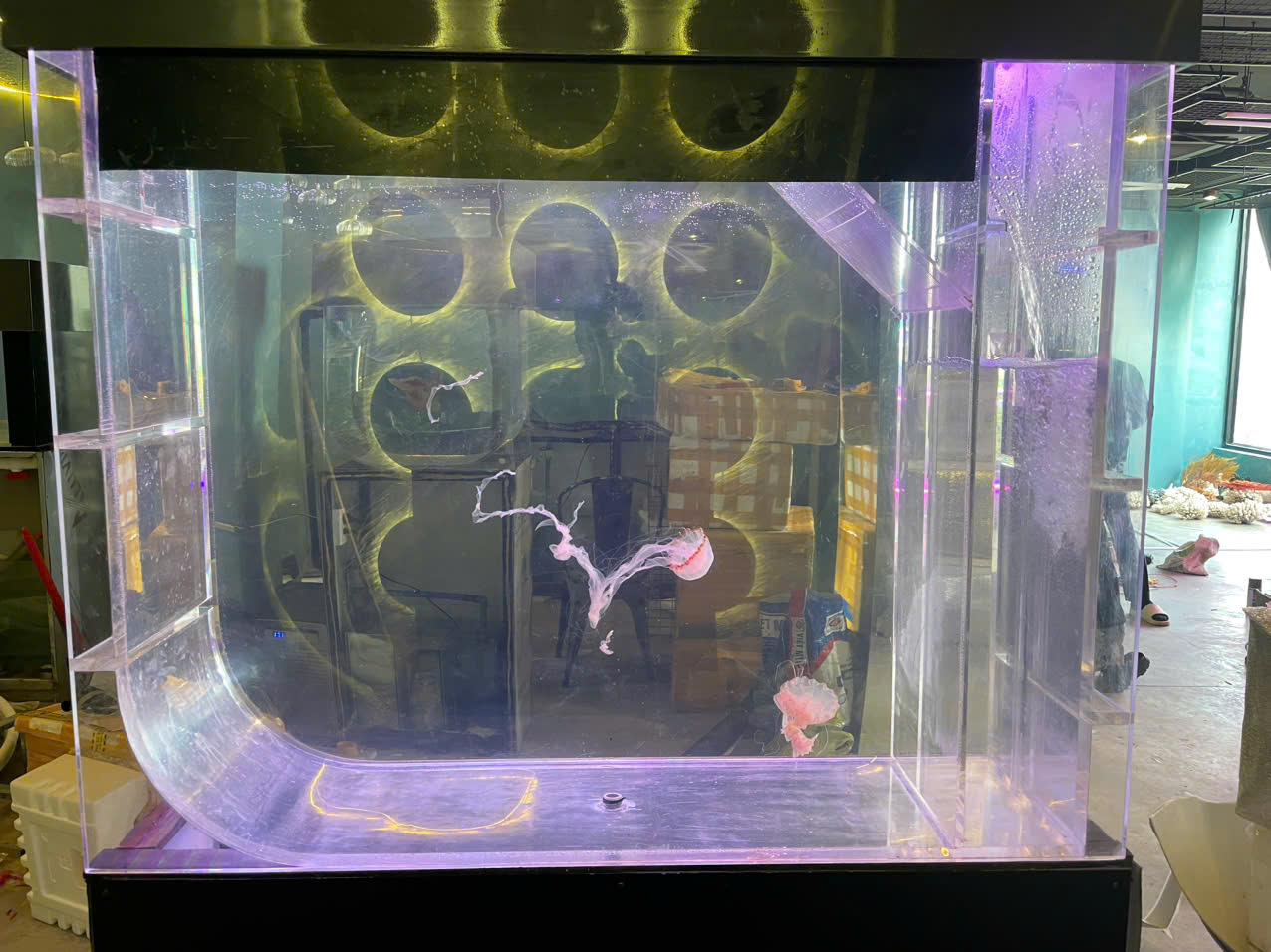 Alien Coffee: Cafe thủy cung sứa đầu tiên tại Sài Gòn