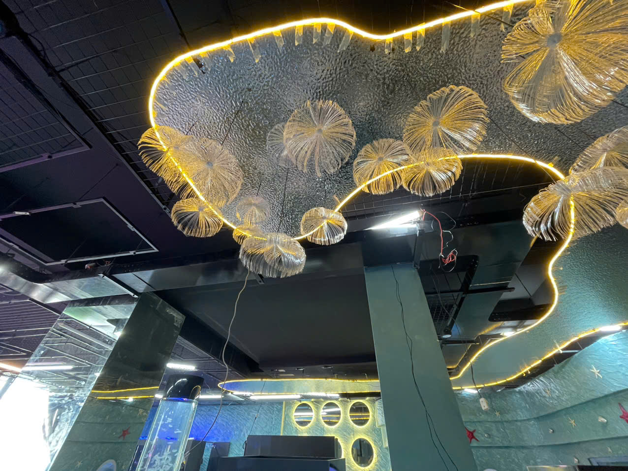 Alien Coffee: Cafe thủy cung sứa đầu tiên tại Sài Gòn