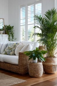 tropical