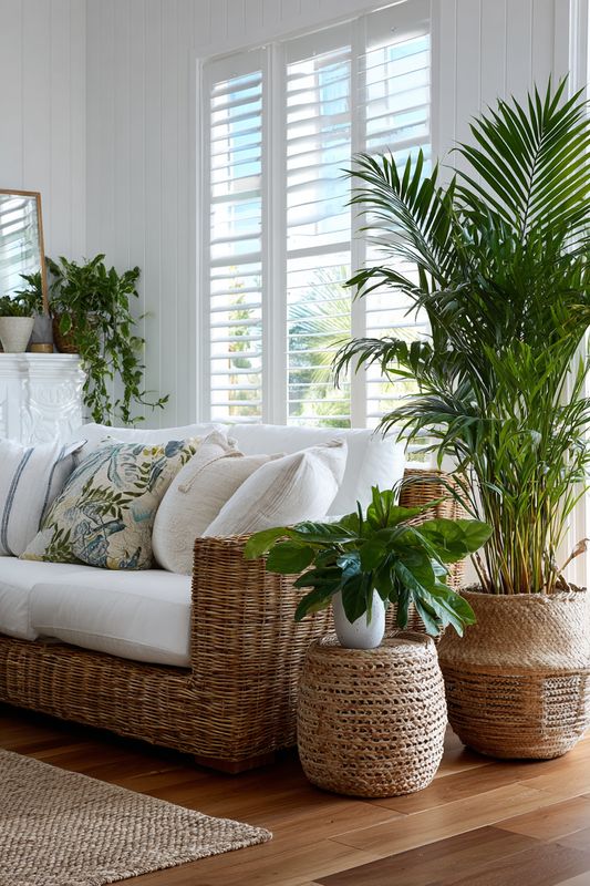 tropical 